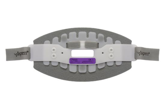 Picture of Aspen® Collar Back Panel - Large